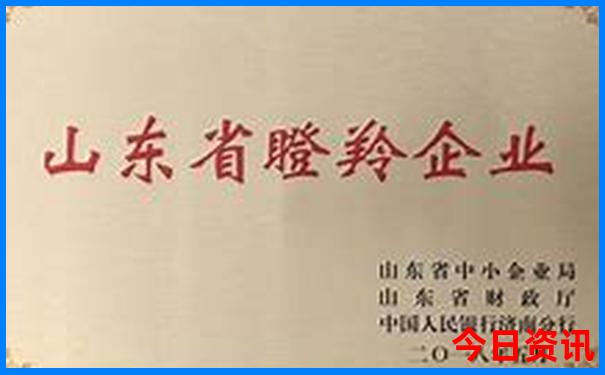深圳适合夏天去玩的凉快的地方